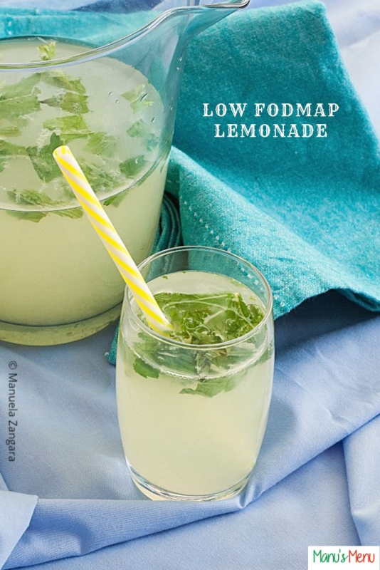 Low Fodmap Mint Lemonade
