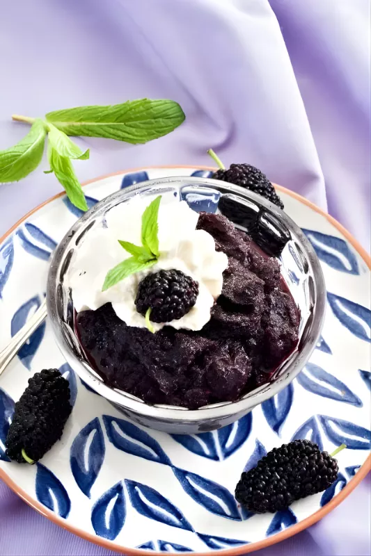 Close-up of Mulberry Granita garnished with whipped cream, mint leaves, and a fresh mulberry.