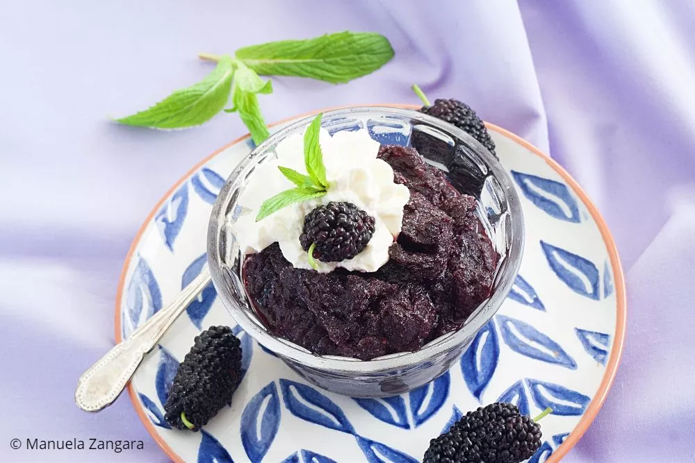 Bowl of Mulberry Granita topped with whipped cream, fresh mulberries, and mint on a plate.