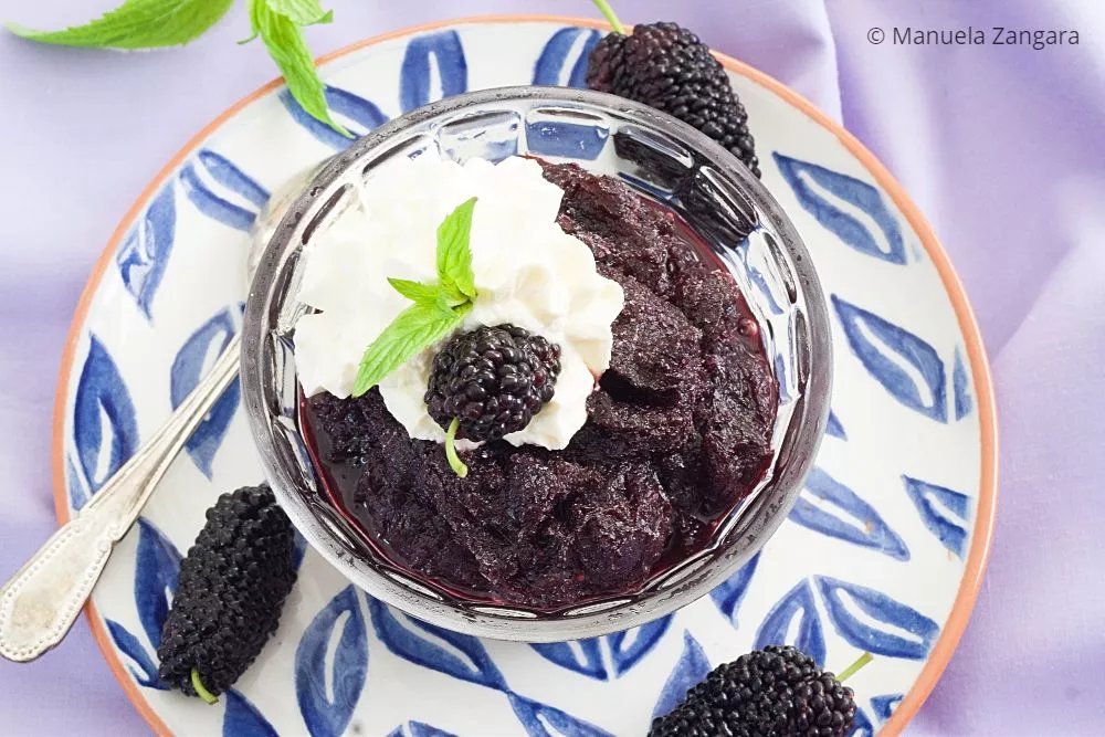 Traditional Sicilian Mulberry Granita served with whipped cream and mint.
