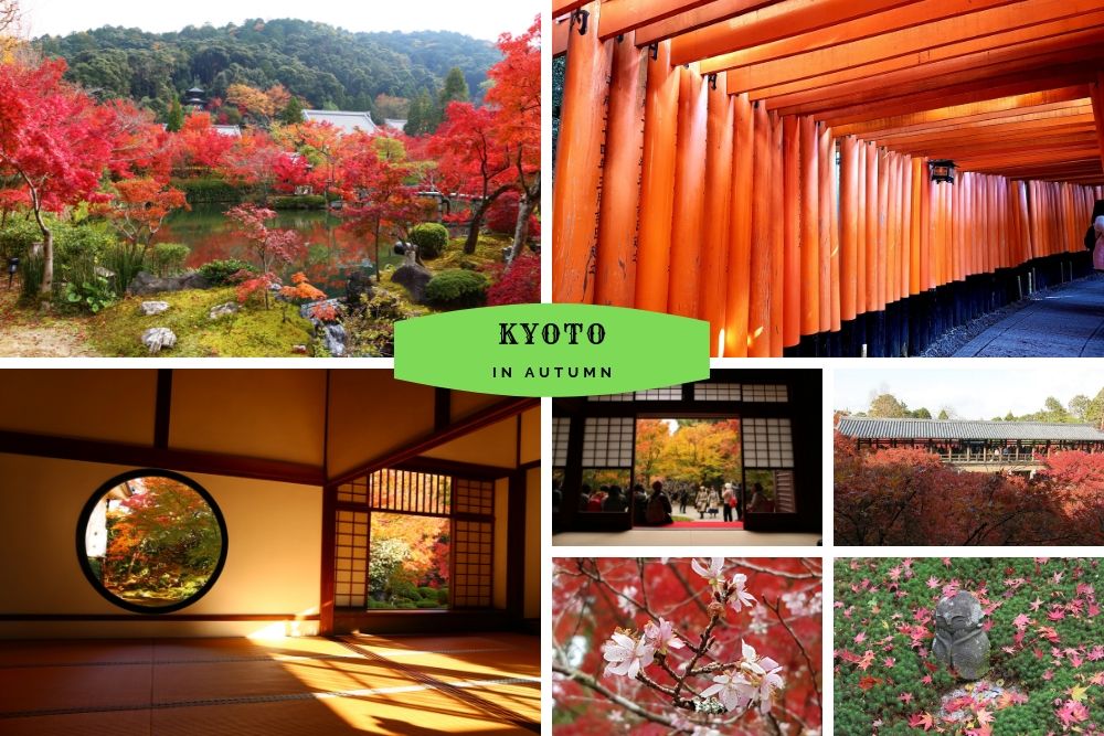 Kyoto in Autumn