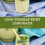 Glass of low FODMAP mint lemonade with fresh mint leaves.