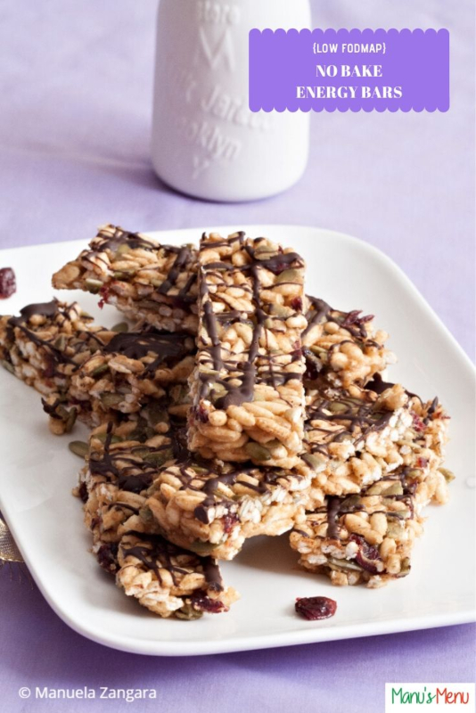 Low Fodmap No-Bake Energy Bars