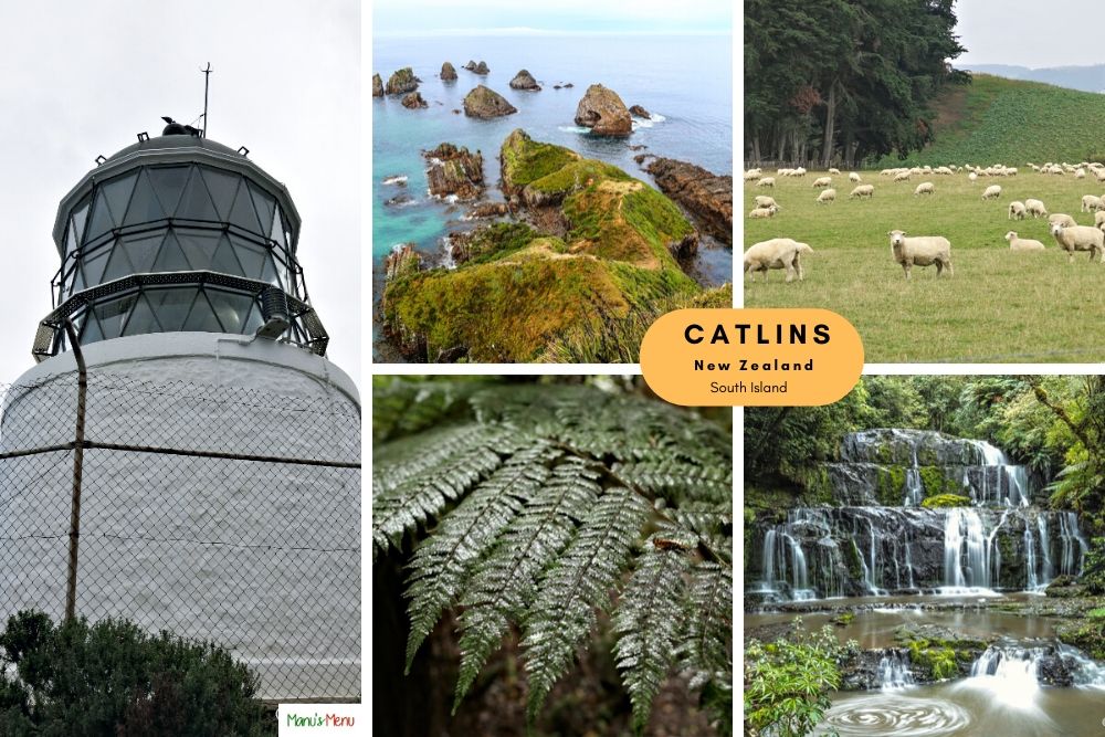 Catlins - New Zealand Guide