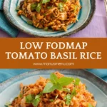 Low FODMAP rice with tomato and basil served warm.