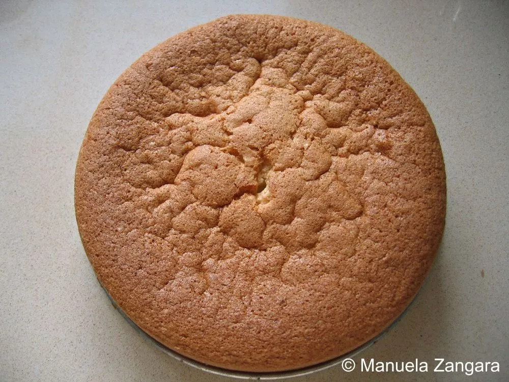 Freshly baked Pan di Spagna cooling on the counter.