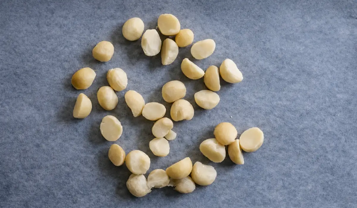 Macadamia nuts spread on parchment paper before roasting.