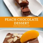 Chocolate dessert slice topped with peach and almond flakes.