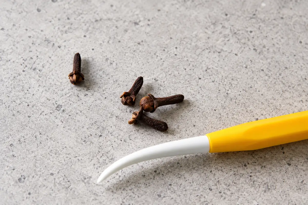 Several whole cloves beside a yellow-handled modelling tool on a light stone surface.